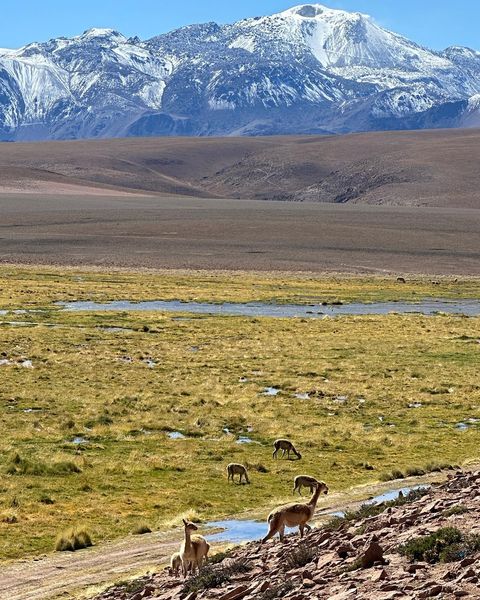 Chile