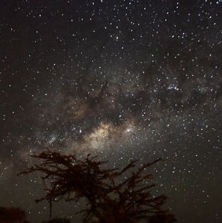 The Milky Way as seen from our Serengeti Camp.