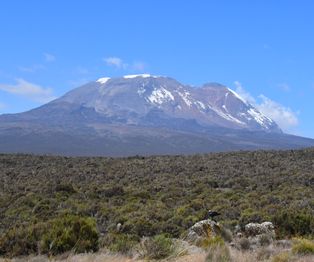 Mt. Kilimanjaro as seen from the day trippers' base camp