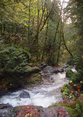 Washington (State)