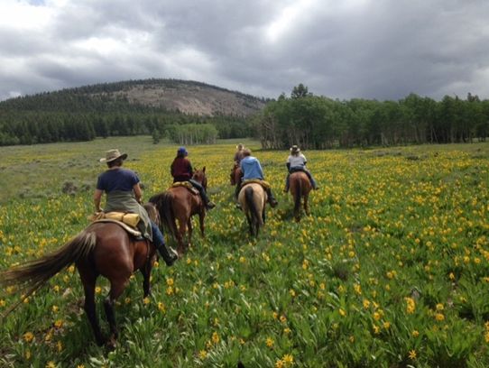 Summer in Colorado