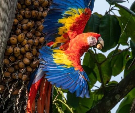 Costa Rica