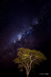 The Milky Way shines bright in the absence of light pollution