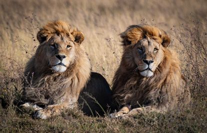 These brothers took our breath away! 