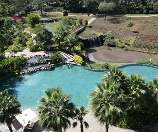 Hotel pool and grounds as seen from the room balcony