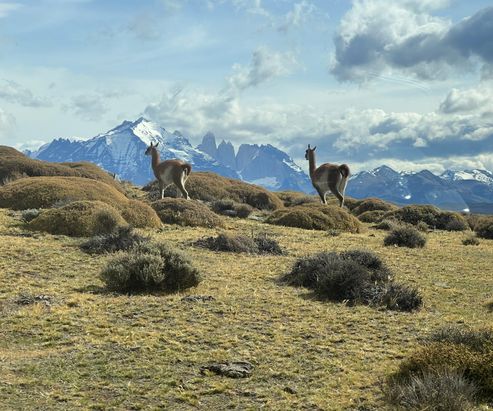 Chile-  Torres Del Paine, Patagonia